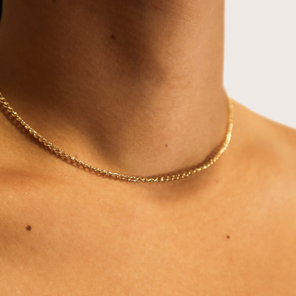 Curb Choker Necklace