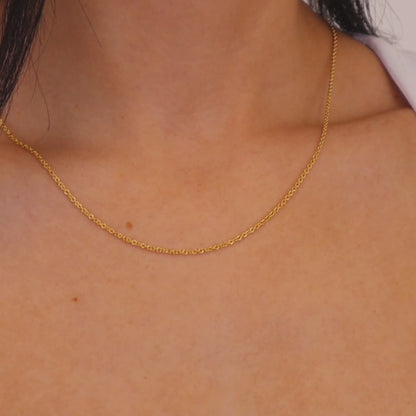 Chain Necklace