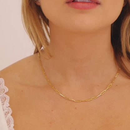 Paperclip Necklace